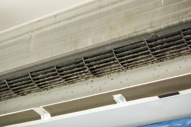 Best Best Air Duct Cleaning Company  in Edgemont Park, MI